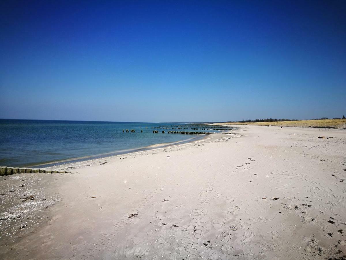 Darsser Strandgut - Haus Ahrenshooper Holz Ngoại thất bức ảnh